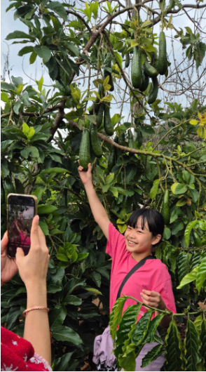 Tour văn hoá bản địa