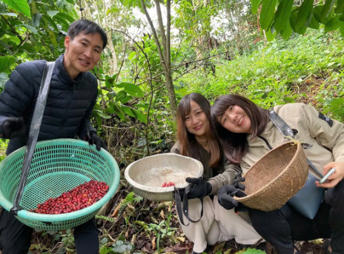  Tour Trang Trại Cà Phê Midori