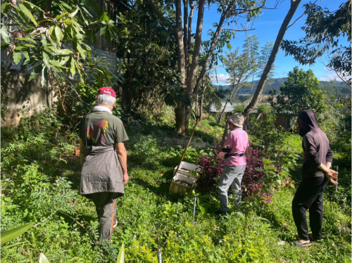  Vườn rau bền vững