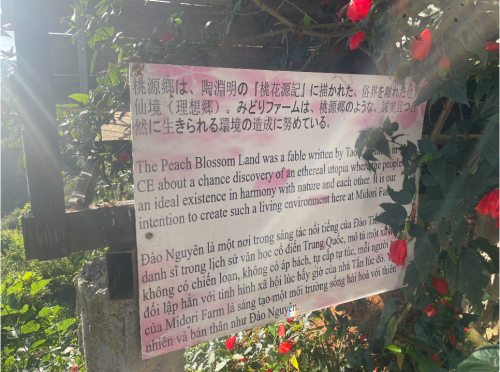  Dốc Đào Nguyên | 桃源の坂