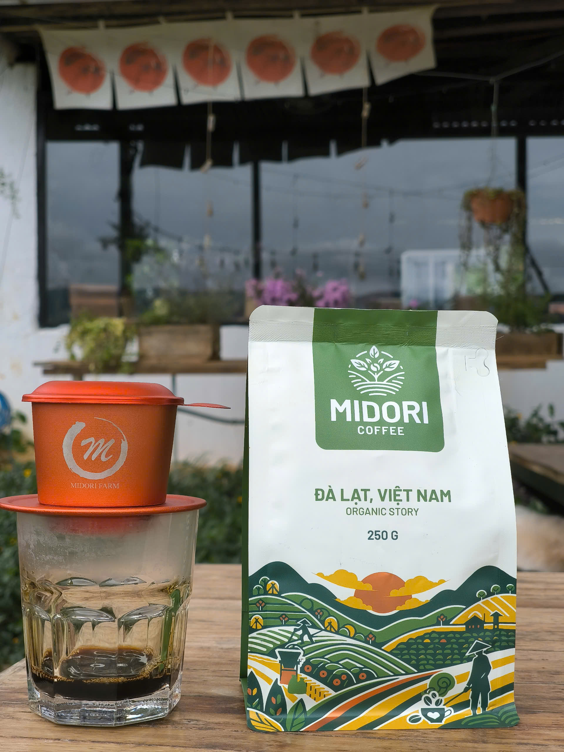 Robusta