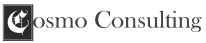 cosmoconsulting