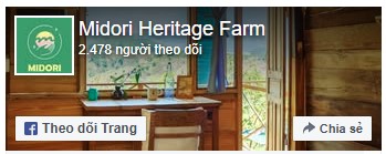 Midori Farm